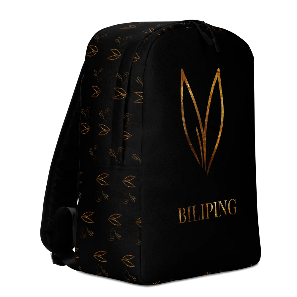 Frame Backpack
