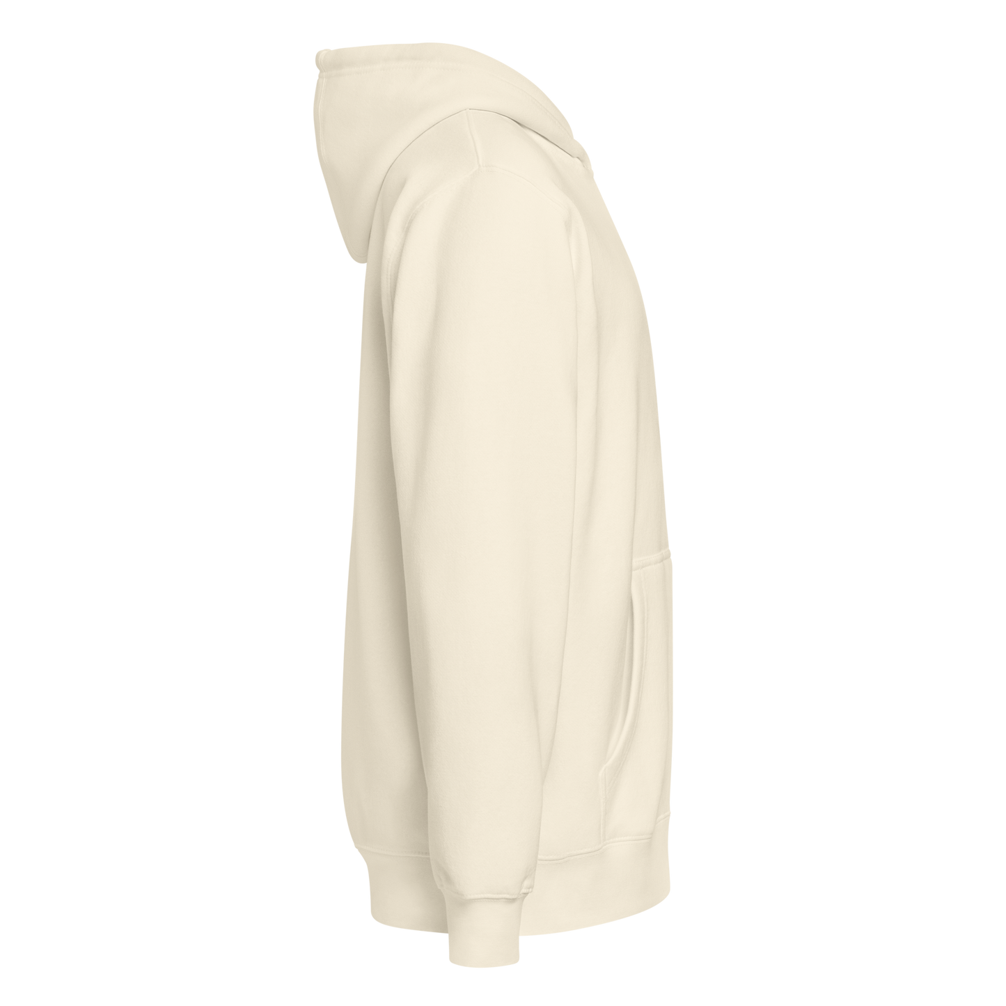 Embrace Hoodie Zip